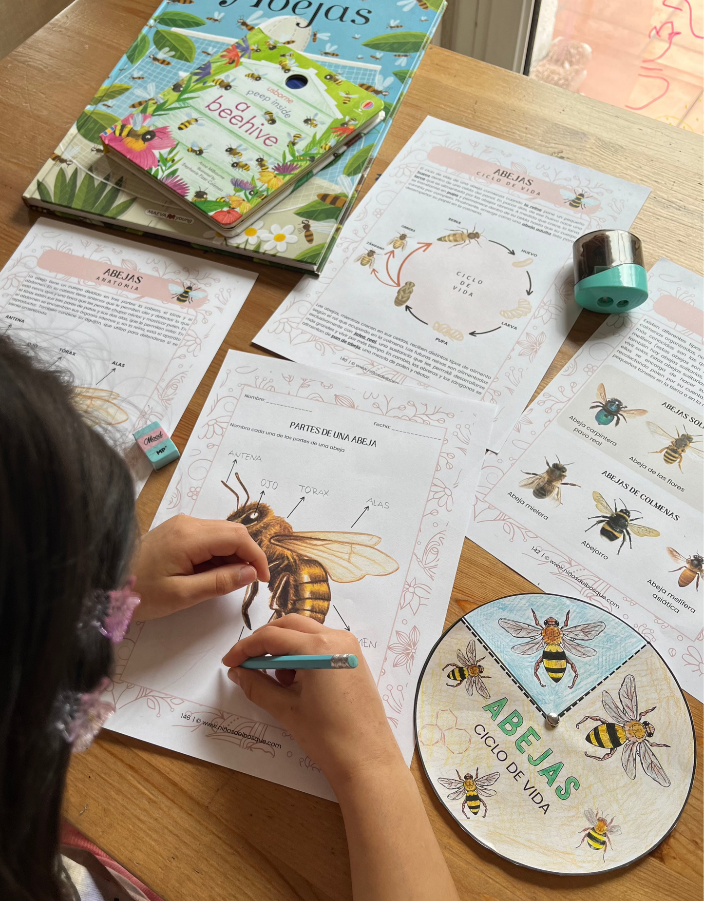 Niña realizando una actividad educativa sobre abejas en una ficha de naturaleza, con materiales de estudio y cuaderno de observación sobre la mesa