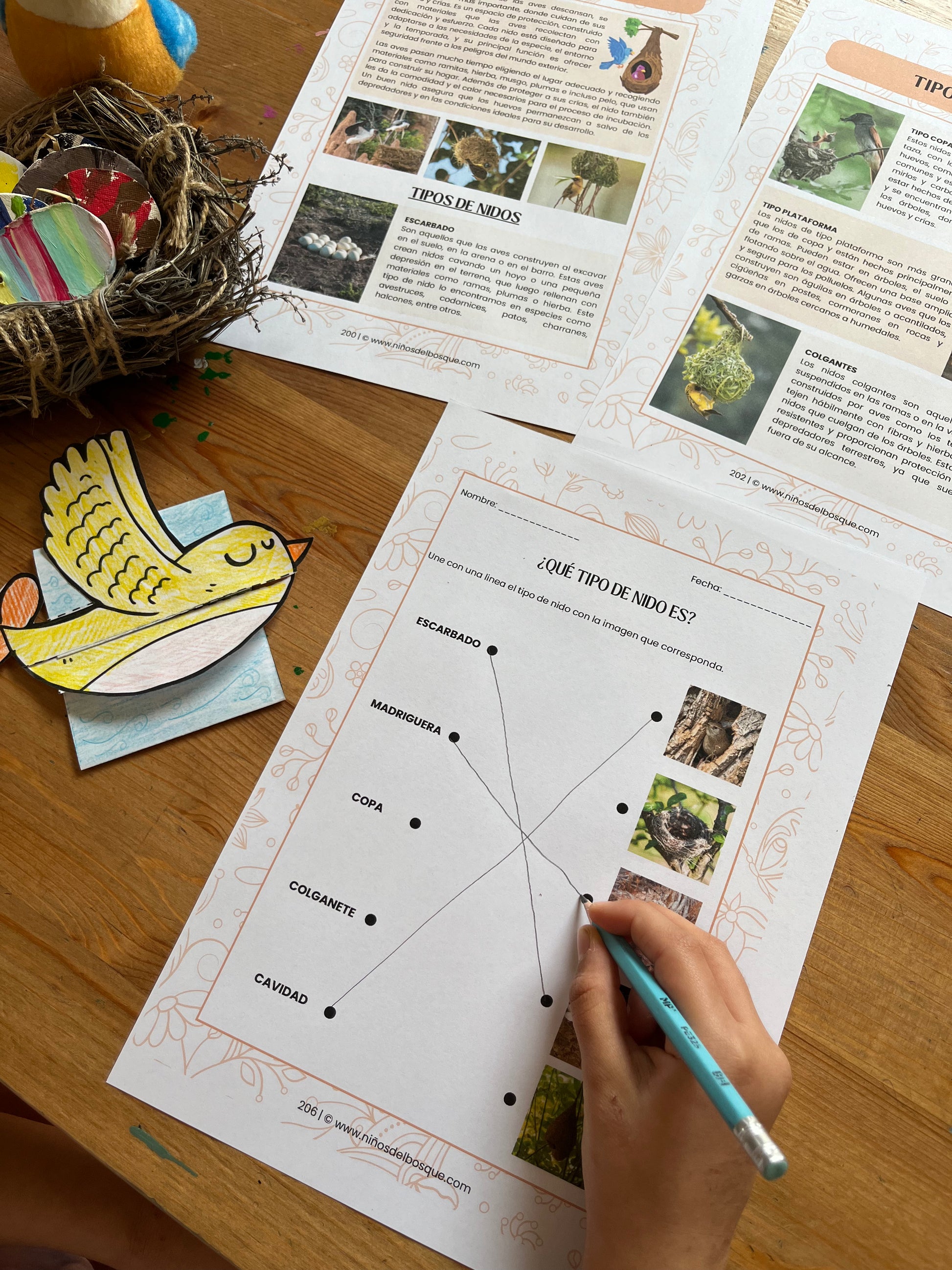Niño realizando una actividad educativa sobre aves y nidos en una ficha de naturaleza, con materiales de primavera y manualidades sobre la mesa.