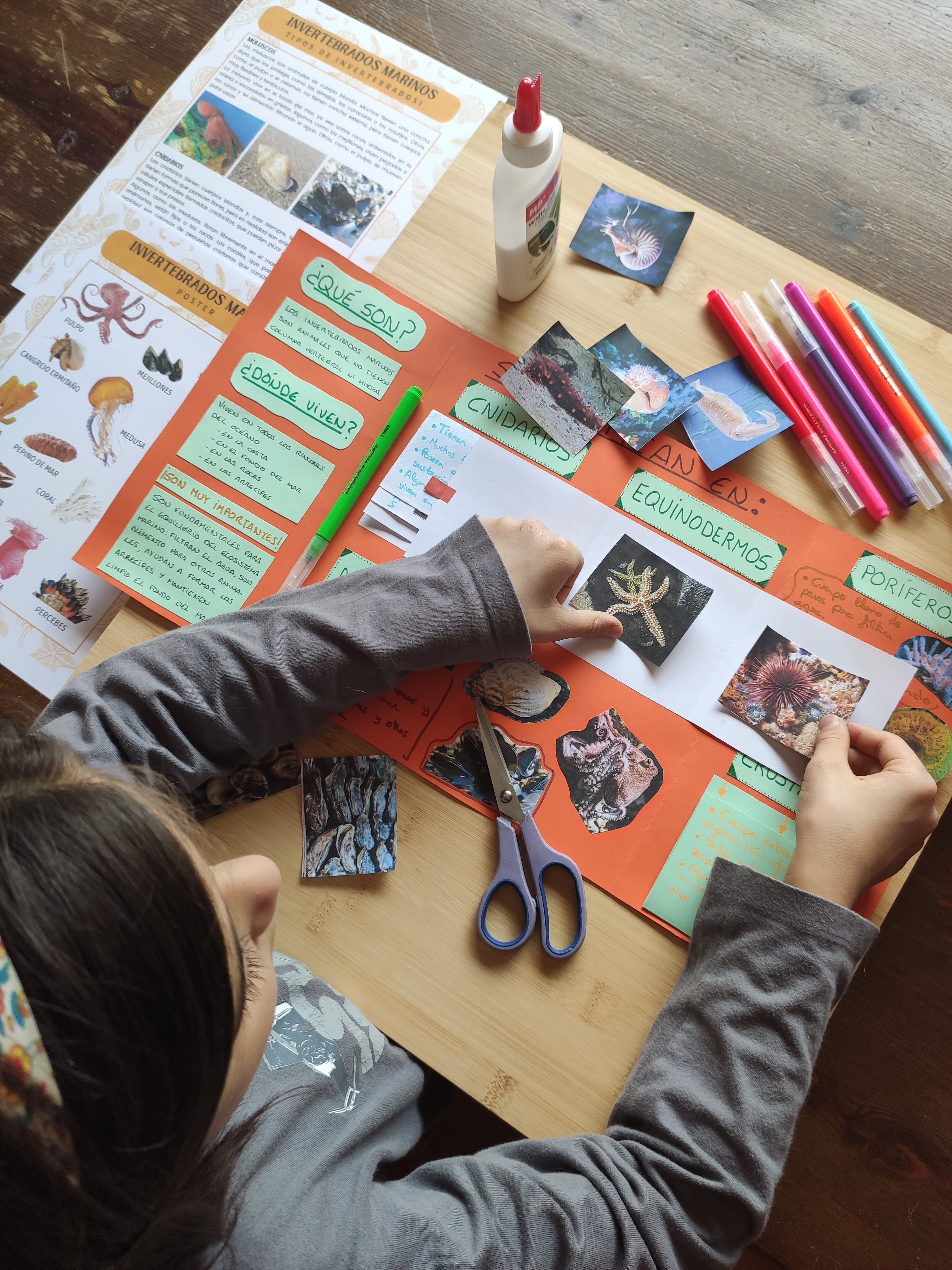 Niña realizando una actividad educativa sobre ecosistemas marinos con fichas de aprendizaje, recortes, pegamento y rotuladores.