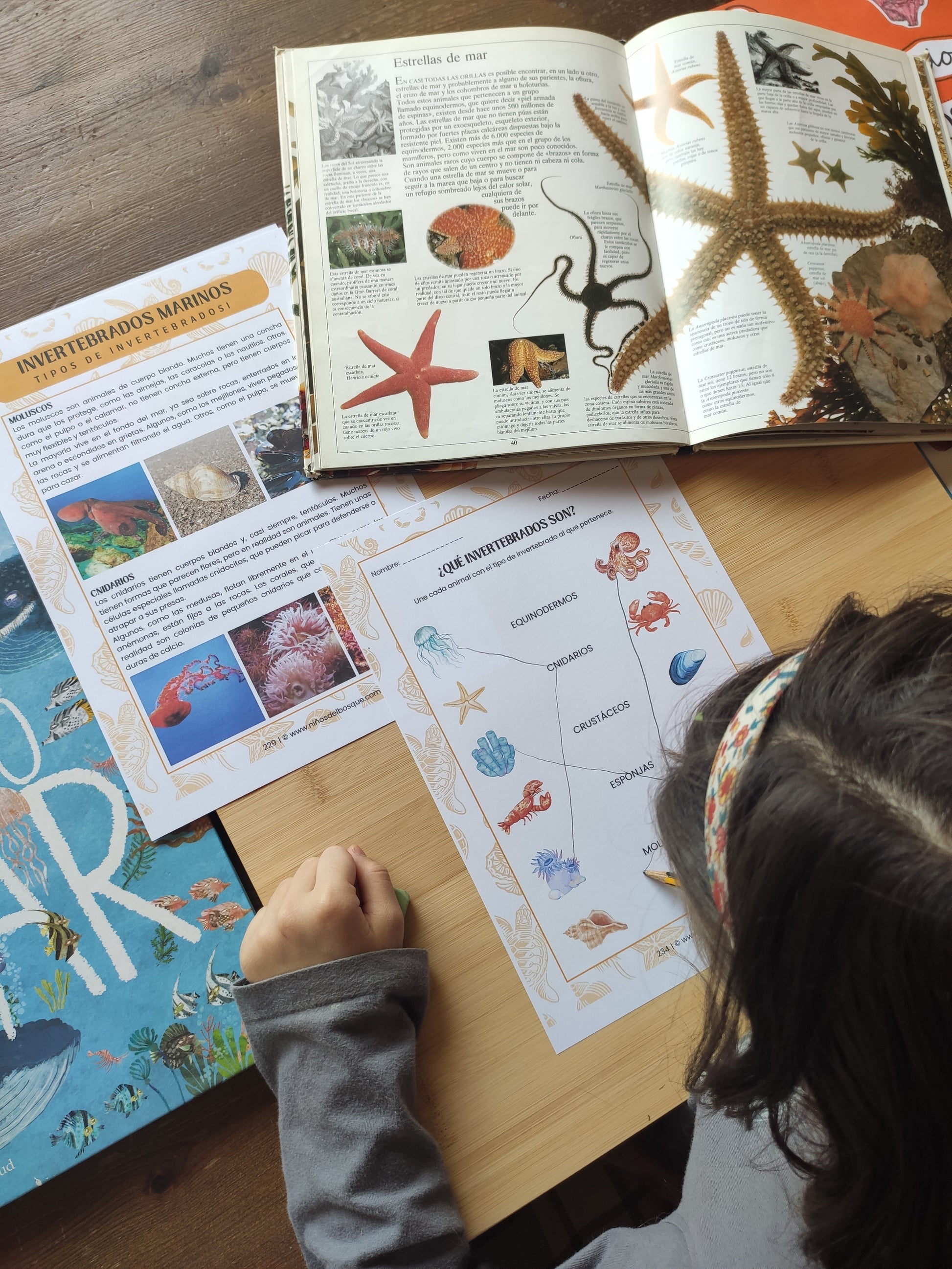 Niña realizando una actividad educativa sobre ecosistemas marinos con fichas de aprendizaje, recortes, pegamento y rotuladores en una mesa