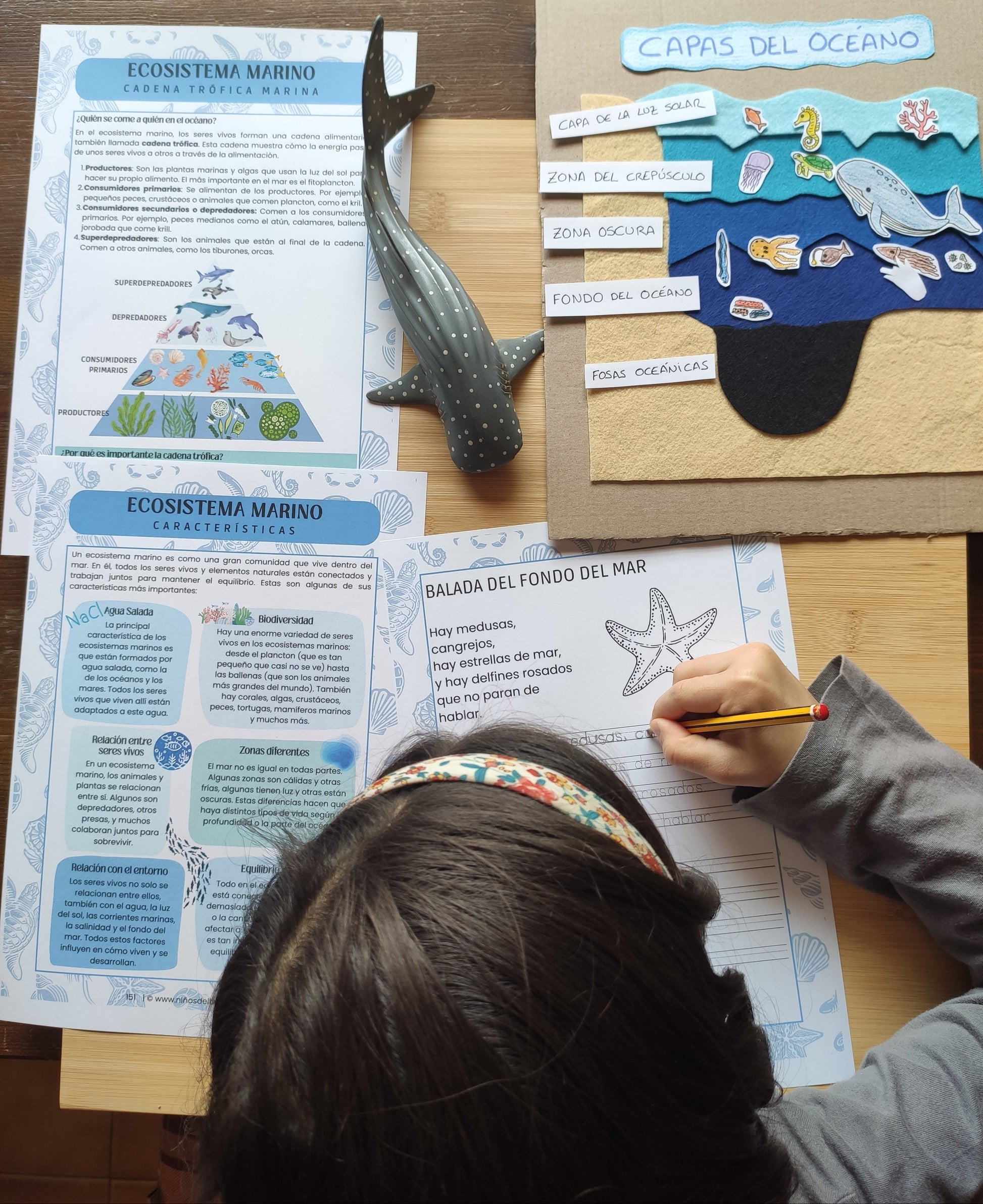 Niña realizando una actividad educativa sobre ecosistemas marinos con fichas de aprendizaje.