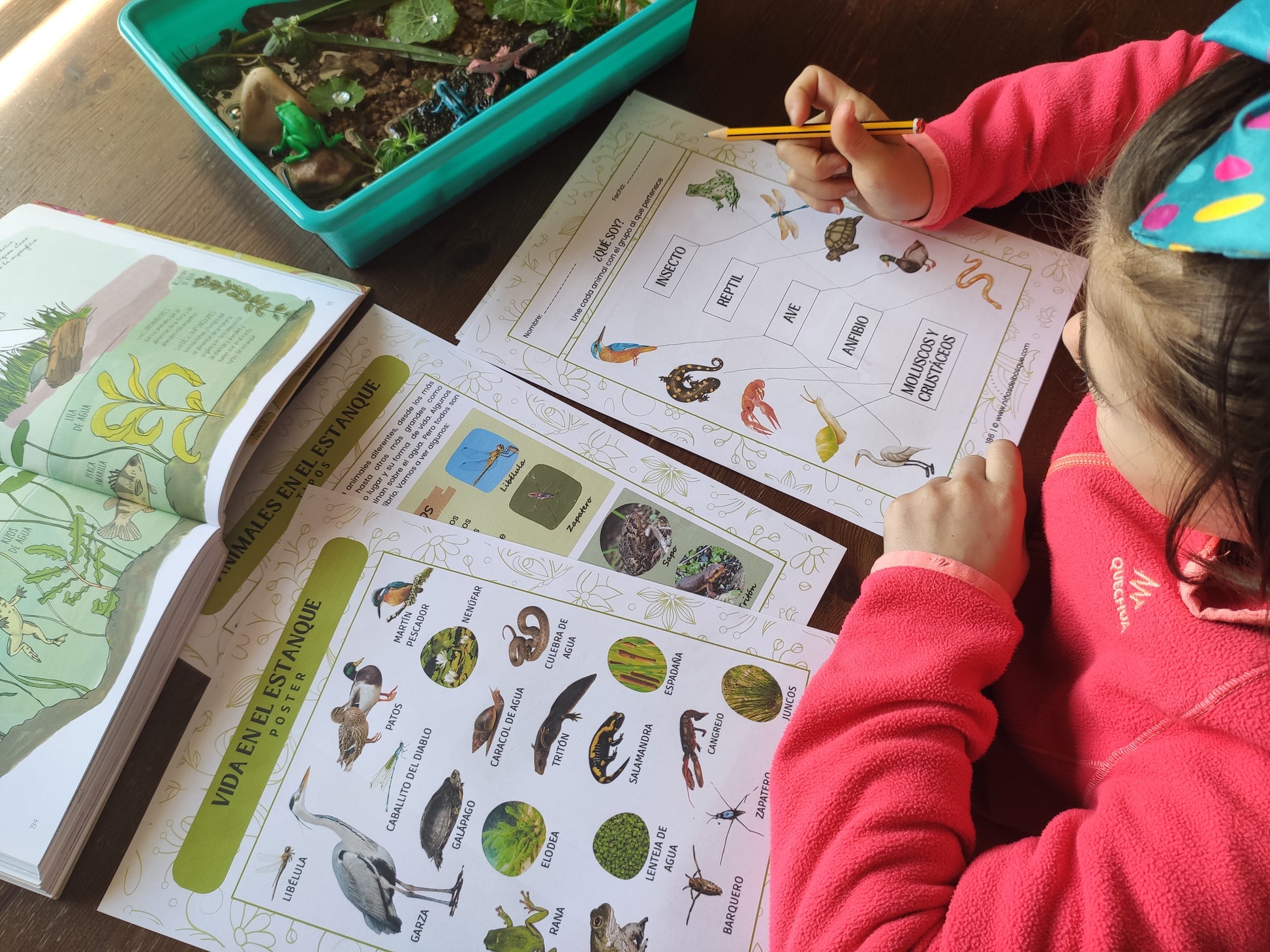 Niña realizando una actividad educativa sobre estanques y charcas con figuras de animales y fichas de naturaleza de una guía de primavera para niños.