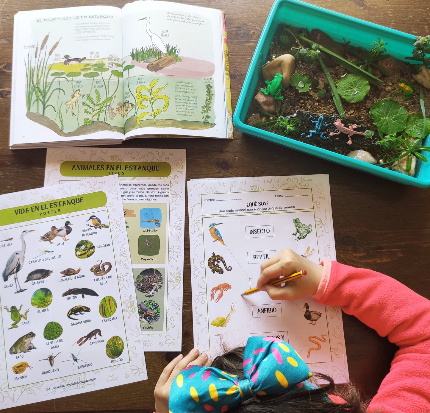 Niña realizando una actividad educativa sobre estanques y charcas con una bandeja sensorial, figuras de animales y fichas de naturaleza de una guía de primavera para niños