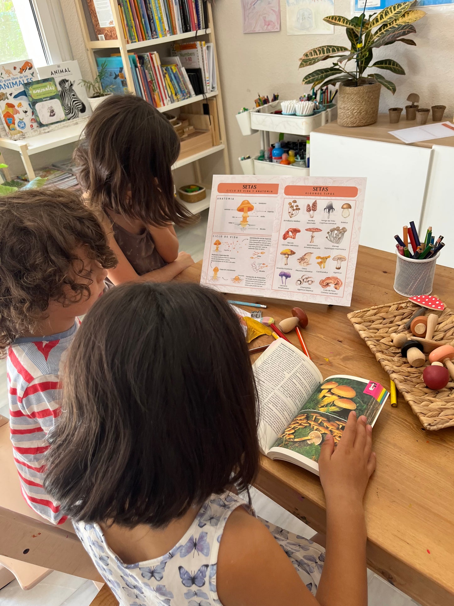 niños observando una lámina educativa sobre setas y aprendiendo sobre hongos con un libro de naturaleza en una mesa de estudio