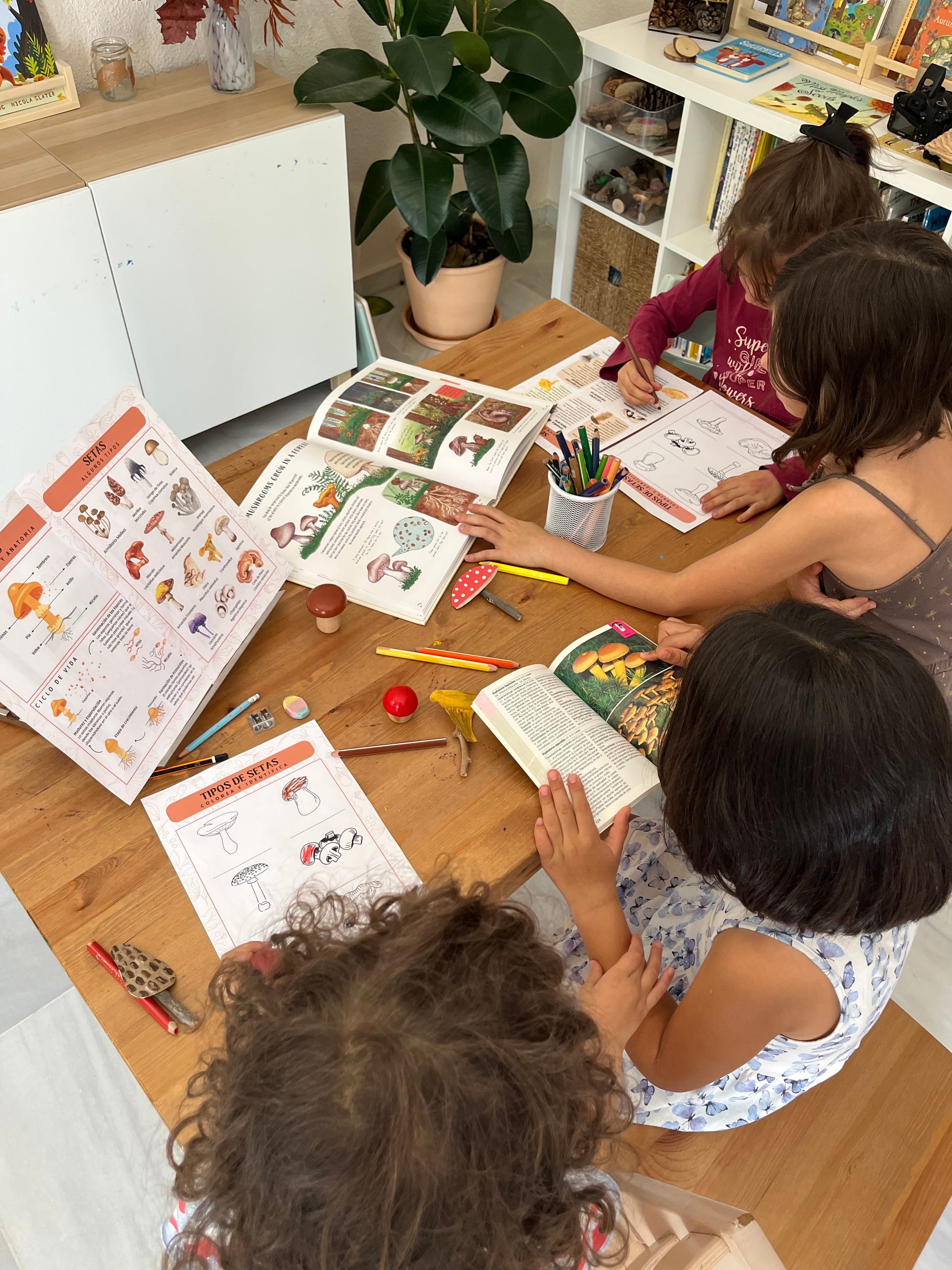 niños estudiando setas con libros y láminas educativas de hongos durante una actividad de aprendizaje de la naturaleza en casa