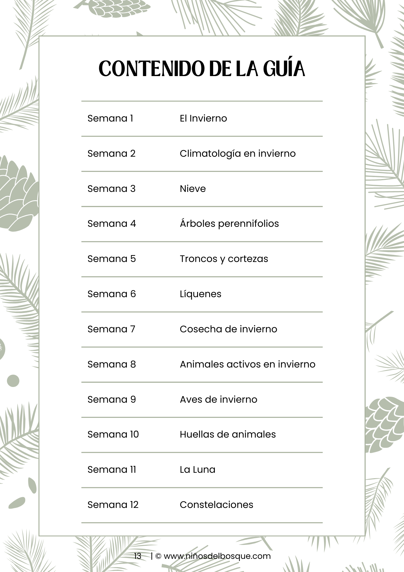 Página con el contenido de una guía de naturaleza de invierno para niños con temas como nieve, líquenes, aves de invierno, huellas de animales, la Luna y constelaciones. ❄️📚