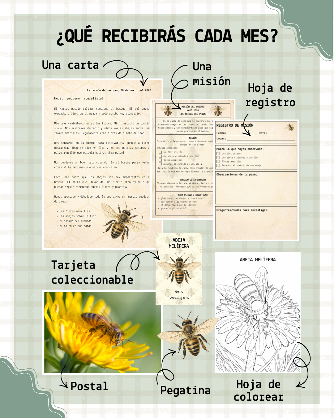 Club Cartas del Bosque