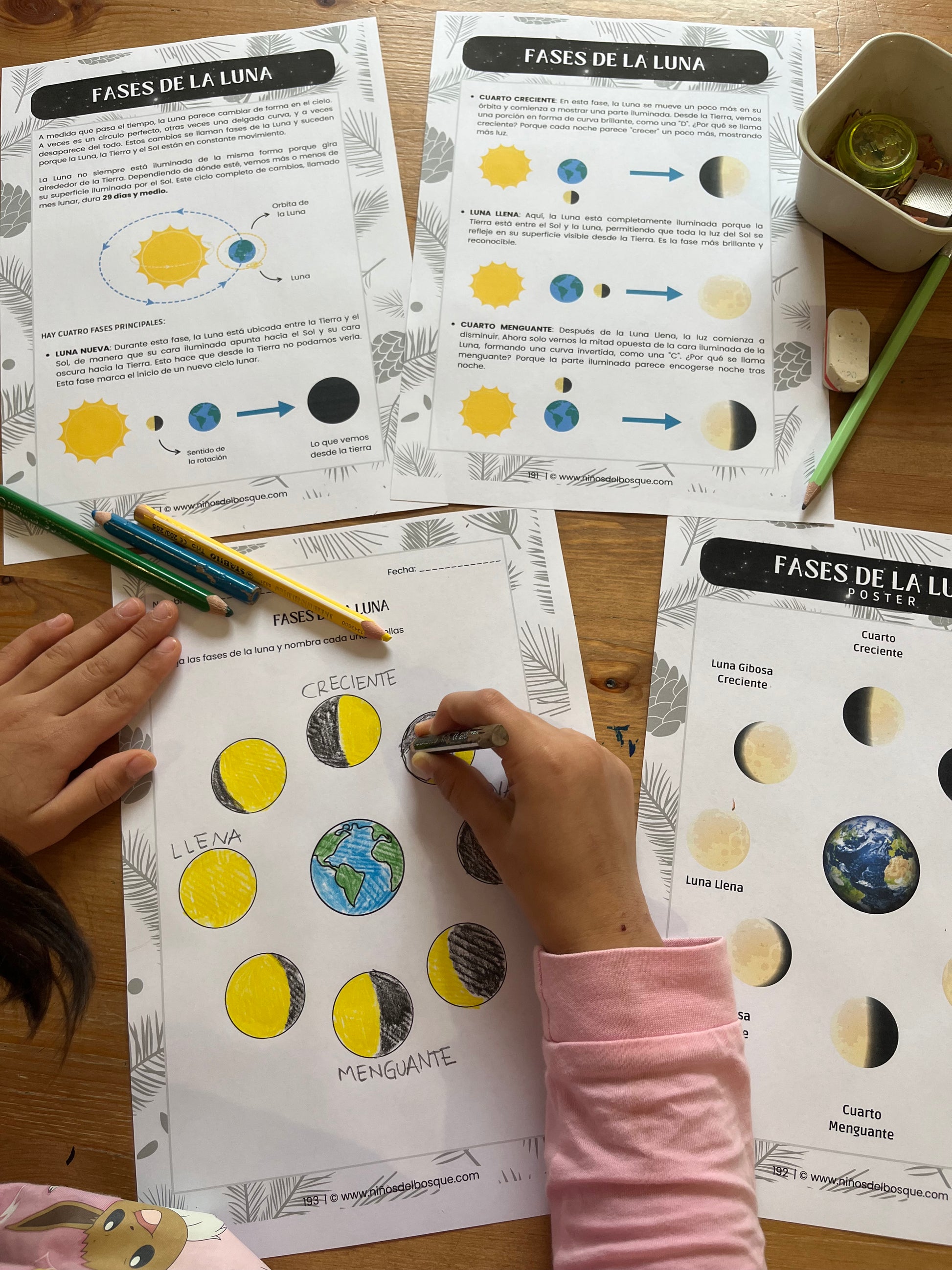 Niña coloreando una actividad educativa sobre las fases de la luna con fichas de estudio y lápices sobre una mesa de madera.