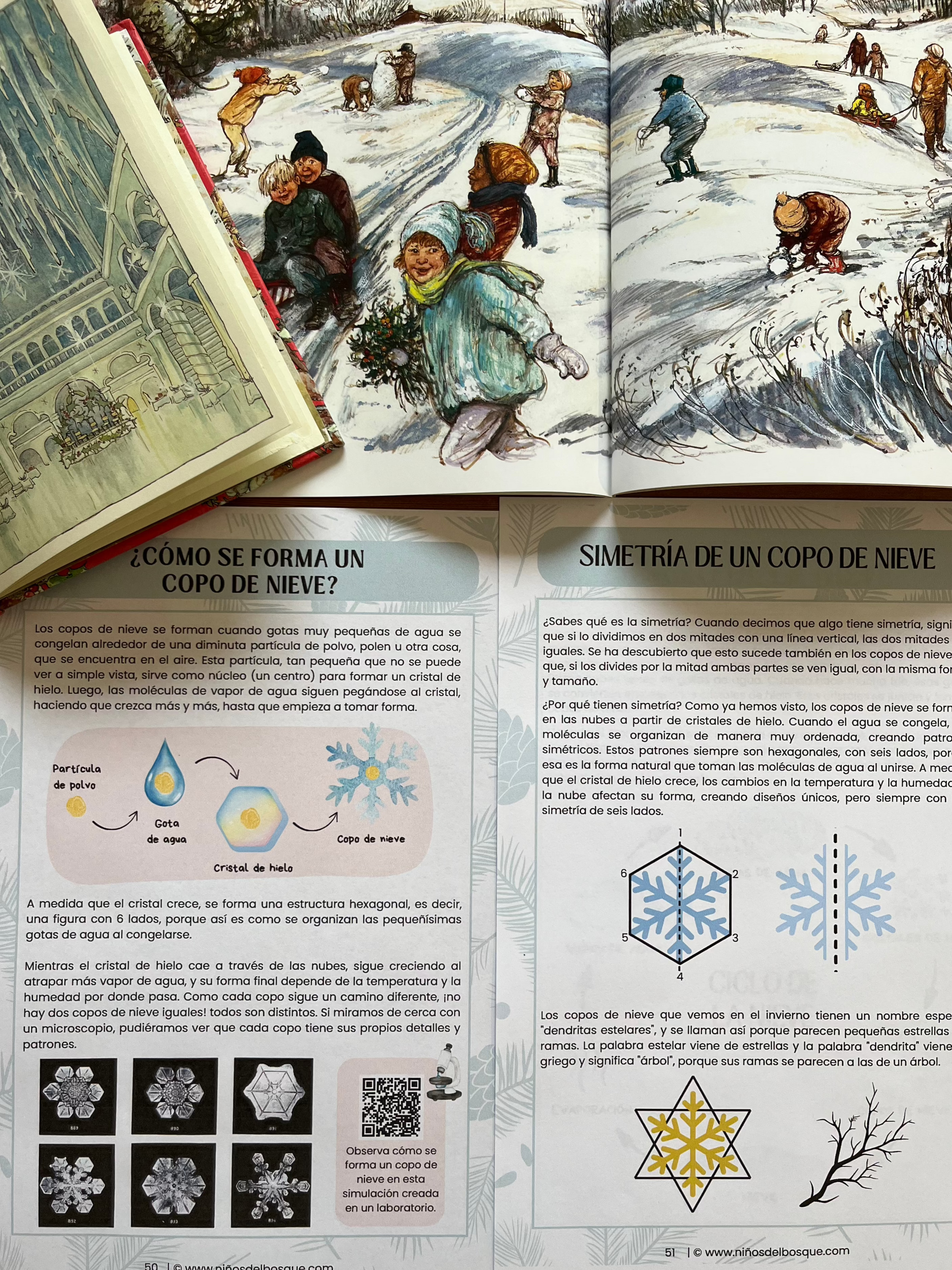 Páginas de una guía educativa de invierno para niños sobre la formación y simetría de los copos de nieve, junto a un libro ilustrado con escenas de niños jugando en la nieve.