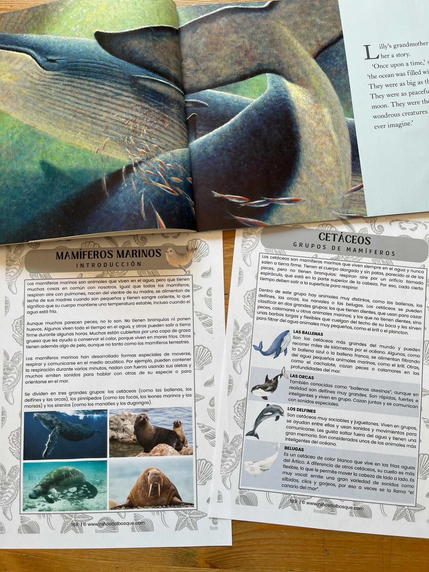 Libro sobre ballenas junto a fichas educativas impresas de mamíferos marinos y cetáceos con imágenes y texto informativo para niños.