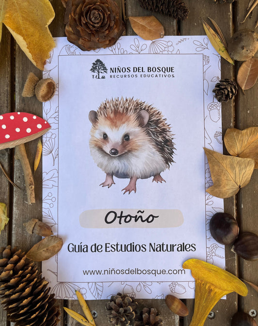 Portada de una guía de estudios de naturaleza sobre el otoño para niños con ilustración de un erizo, rodeada de hojas secas, piñas y elementos naturales del bosque.
