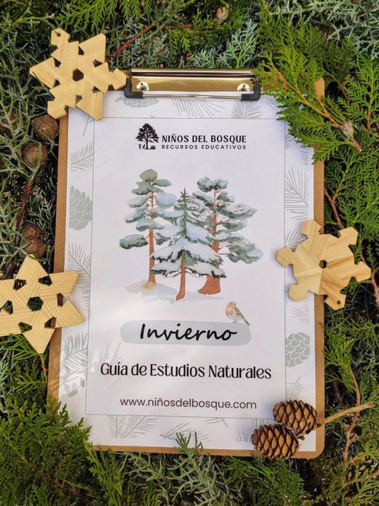 Portada de la guía de estudios naturales de invierno para niños sobre una tabla con pinza, rodeada de ramas de coníferas, piñas y copos de nieve de madera