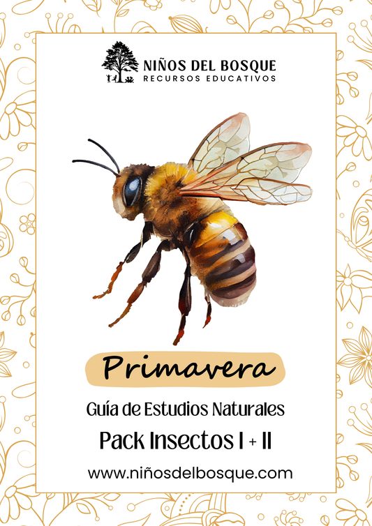 Portada de guía de estudios naturales de primavera para niños con ilustración de una abeja, pack educativo sobre insectos de la marca Niños del Bosque