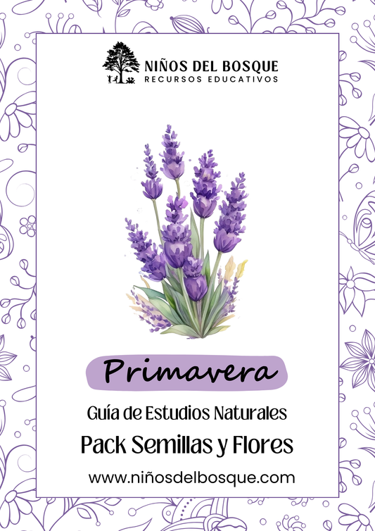 Portada de guía de estudios naturales de primavera para niños con ilustración de una planta, pack educativo sobre semillas y flores de la marca Niños del Bosque