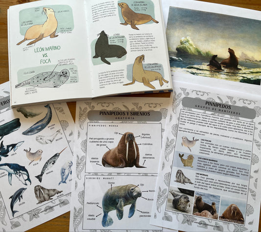 Guía educativa de naturaleza con ilustraciones de animales marinos y ecosistemas, un recurso de aprendizaje sobre el verano.