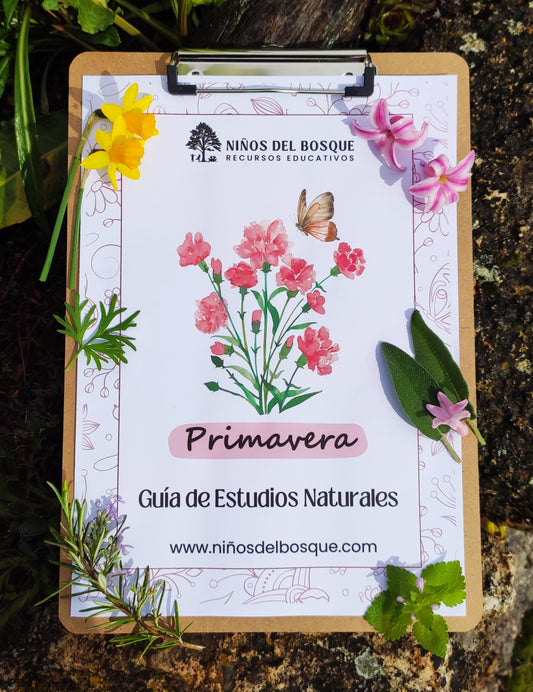 Portada de una guía educativa de primavera para niños sobre estudios de la naturaleza, colocada en una carpeta sobre una roca y rodeada de flores y plantas naturales.