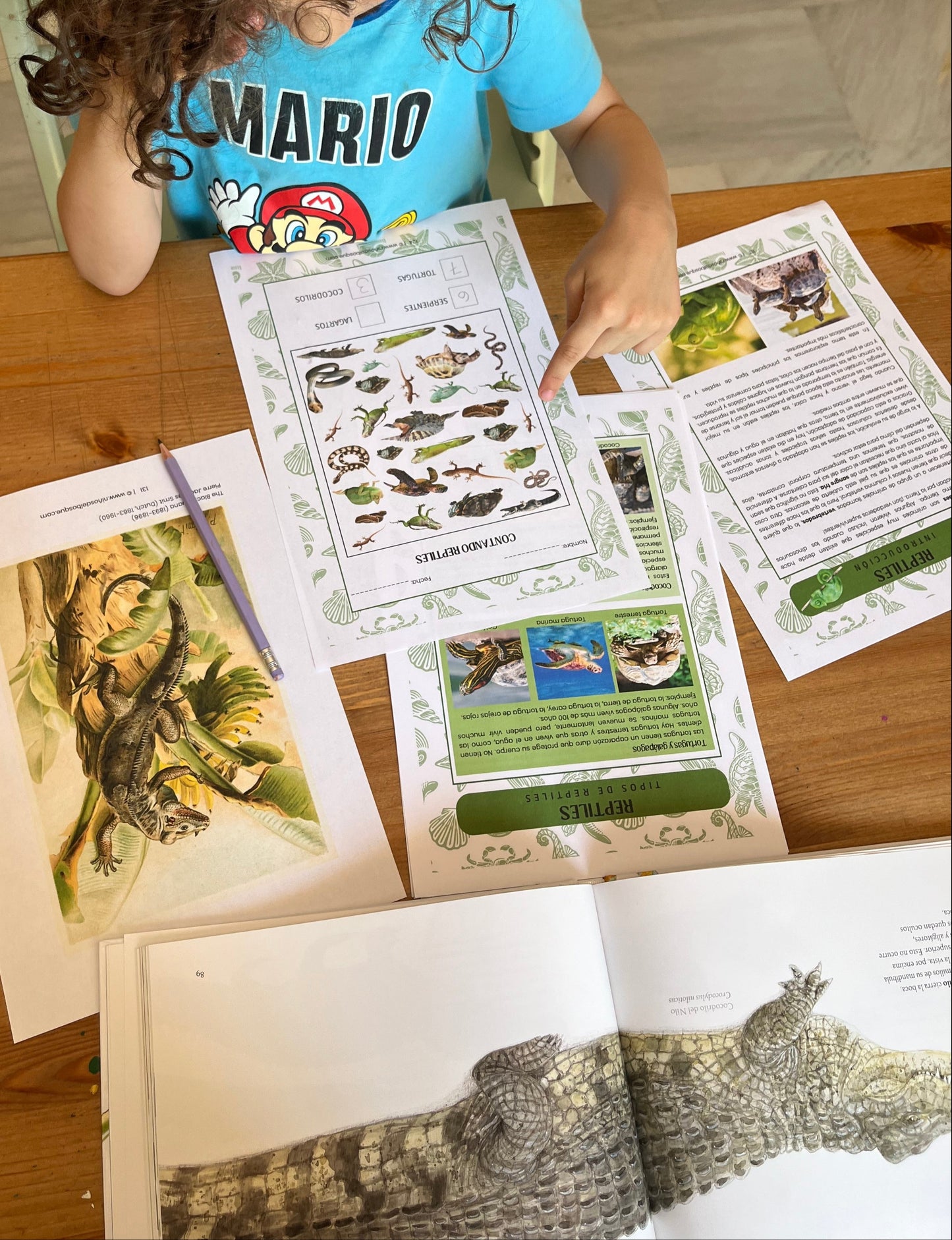 Páginas de una guía educativa sobre reptiles para niños con ilustraciones y fotografías de lagartos, tortugas y serpientes, parte de un recurso de estudios de naturaleza.