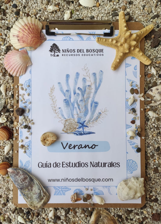 Portada de guía educativa de verano sobre estudios naturales para niños con ilustración marina, de la colección de recursos educativos de naturaleza Niños del Bosque