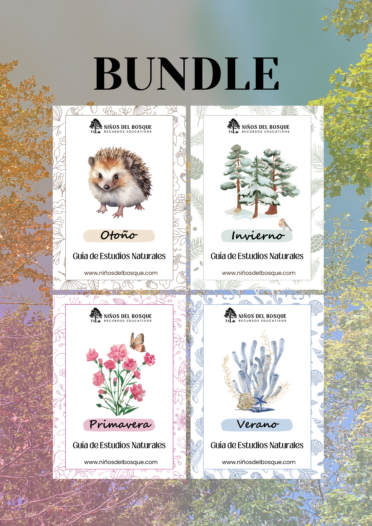 Conjunto de guías educativas de naturaleza para niños sobre las cuatro estaciones: otoño, invierno, primavera y verano.