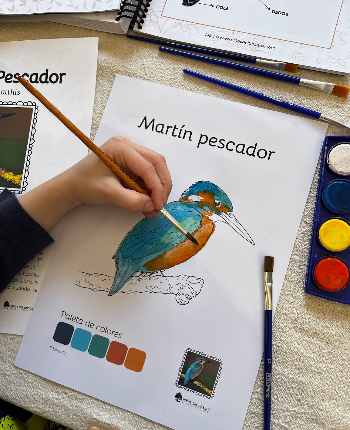 Niño pintando un martín pescador con acuarelas en una página de un libro educativo de aves, rodeado de pinceles y pinturas, recurso de naturaleza para niños.