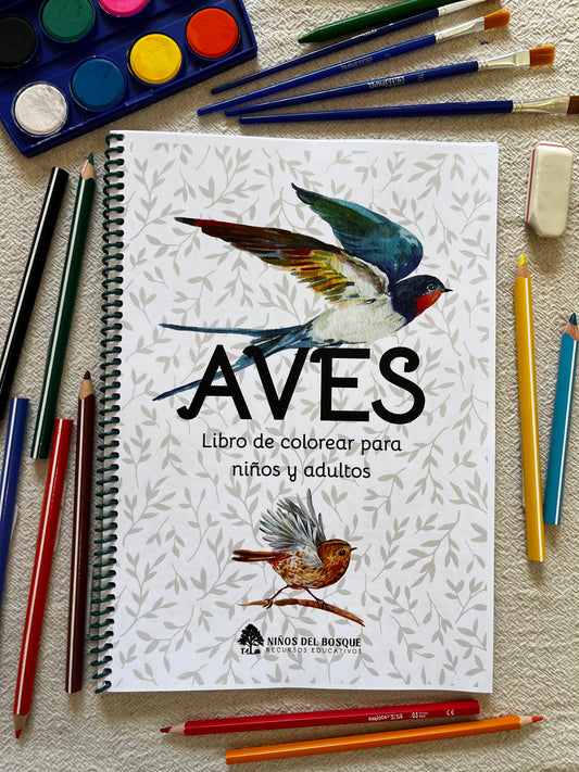Libro para colorear de aves para niños de Niños del Bosque rodeado de lápices de colores, pinceles y acuarelas, recurso educativo de naturaleza.