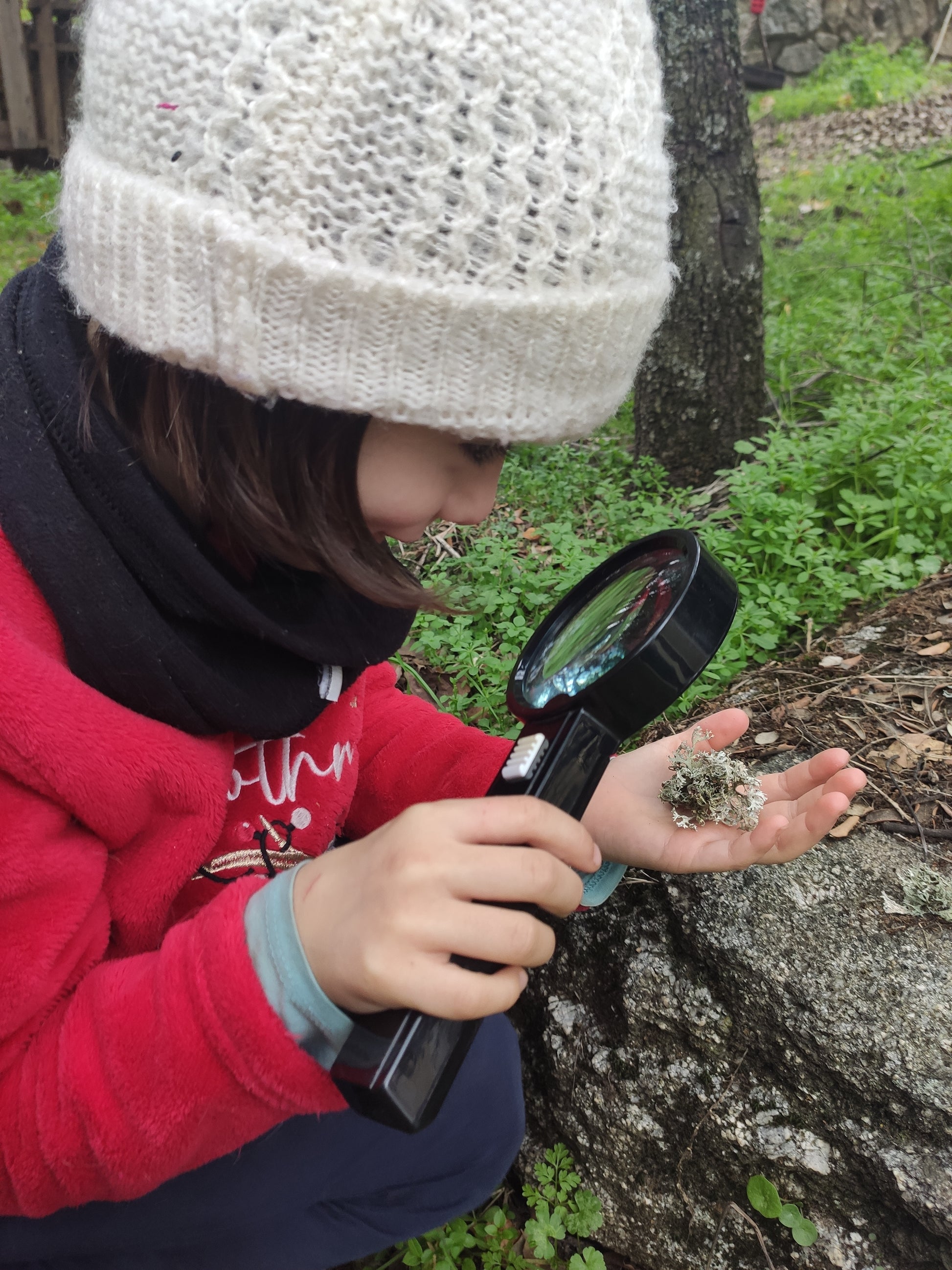 Niña observando líquenes sobre una roca con una lupa durante una actividad de exploración de la naturaleza para niños al aire libre.