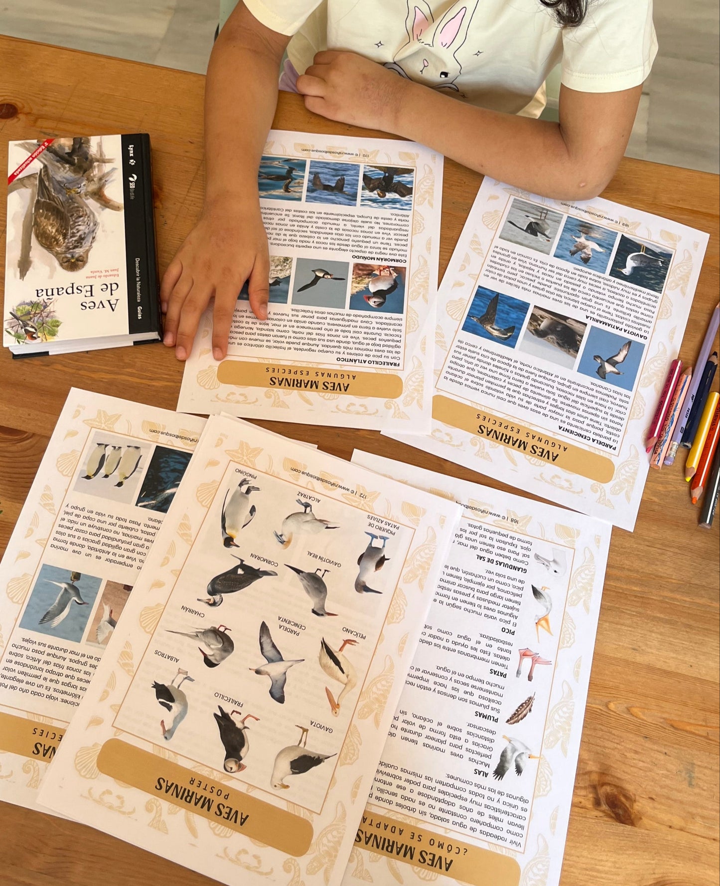 Niño utilizando una guía educativa de naturaleza con fichas e ilustraciones de aves marinas, como parte de un recurso de aprendizaje para niños.