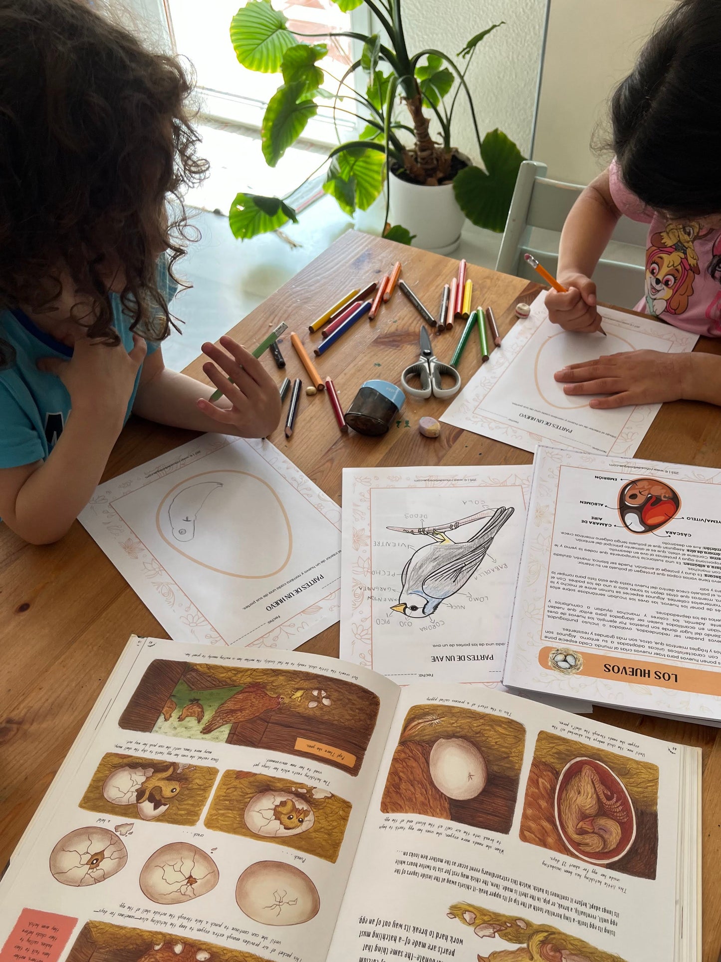 Niños realizando actividades educativas de naturaleza con fichas y dibujos sobre animales y ciclos de vida, usando materiales de una guía de primavera