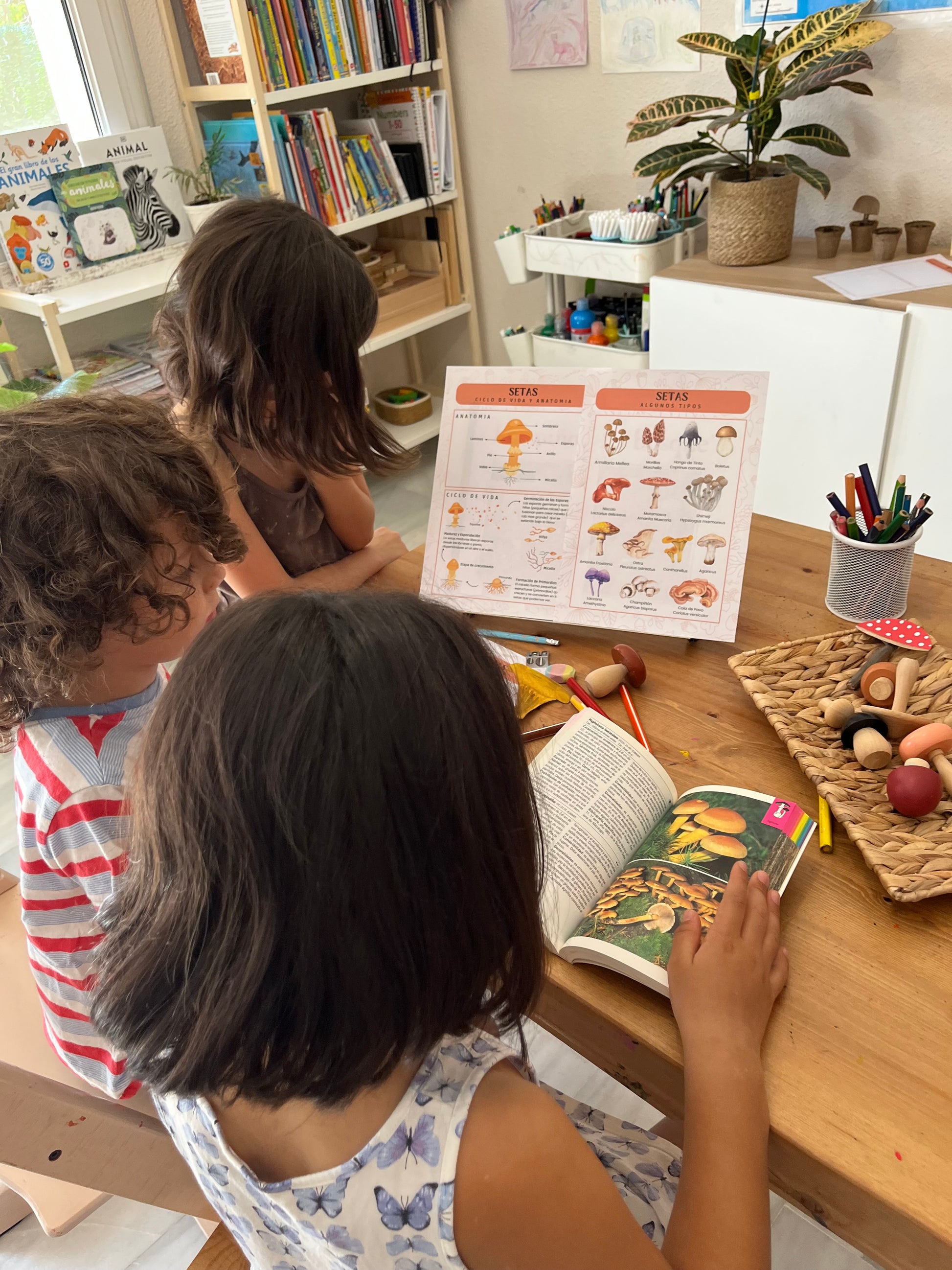 niños observando un libro de setas y una lámina educativa sobre hongos durante una actividad de aprendizaje de la naturaleza en casa