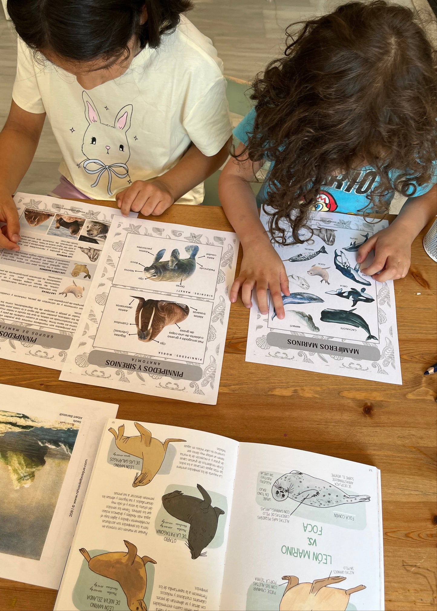 Dos niños observando y utilizando una guía educativa de naturaleza con ilustraciones de animales marinos y ecosistemas, un recurso de aprendizaje sobre el verano.