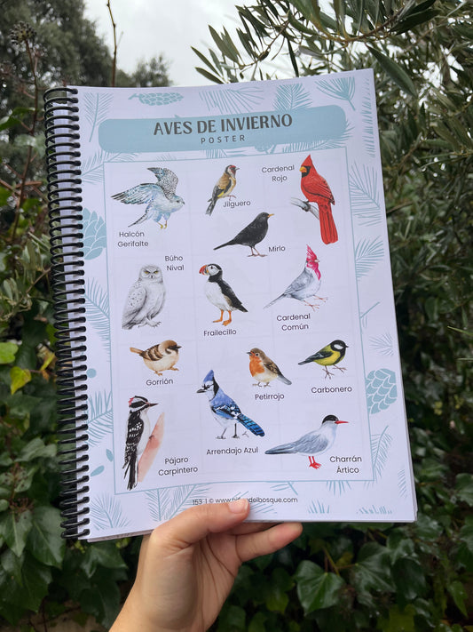 Mano sosteniendo un póster educativo de aves de invierno con ilustraciones de diferentes pájaros, parte de una guía de naturaleza para niños.