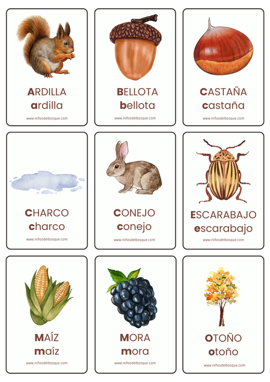 Tarjetas educativas ilustradas con vocabulario de naturaleza para niños con elementos de otoño como ardilla, bellota, castaña, escarabajo, mora y conejo.